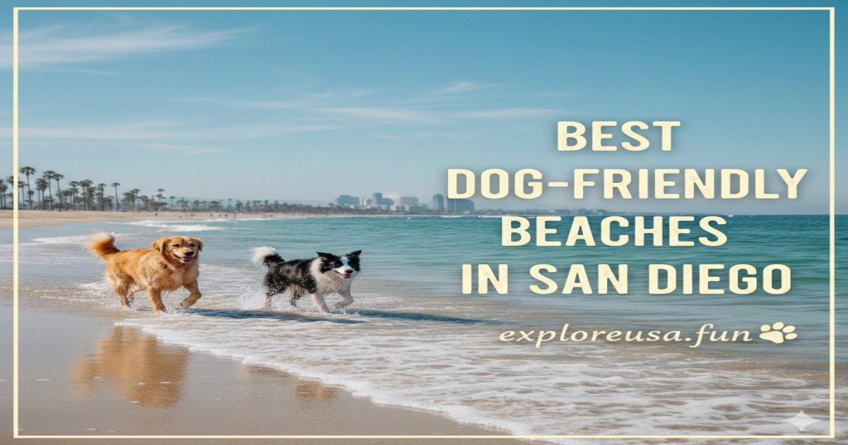 Best Dog-Friendly Beaches in San Diego
