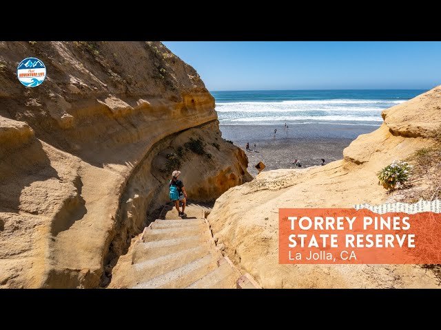 Torrey Pines State Natural Reserve