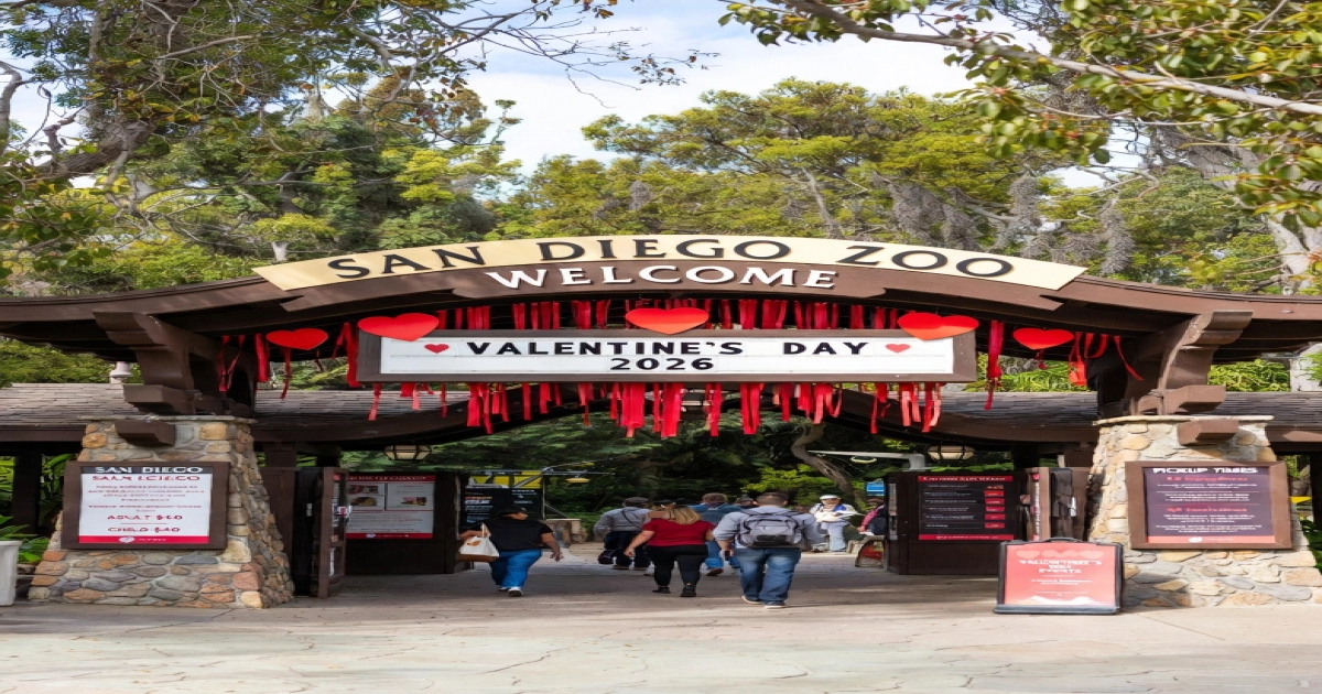 Valentine's Day 2026 at San Diego Zoo